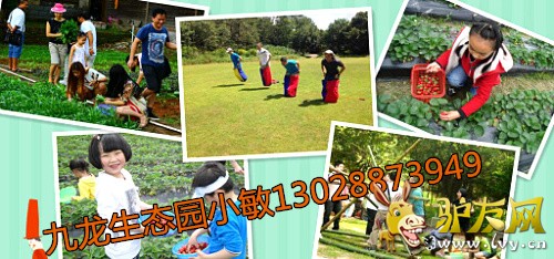 ���������ι���